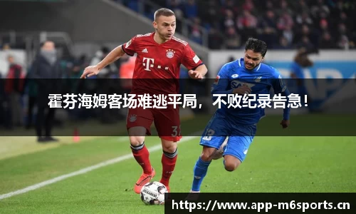 米乐m6体育官网