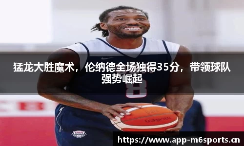 米乐m6体育平台