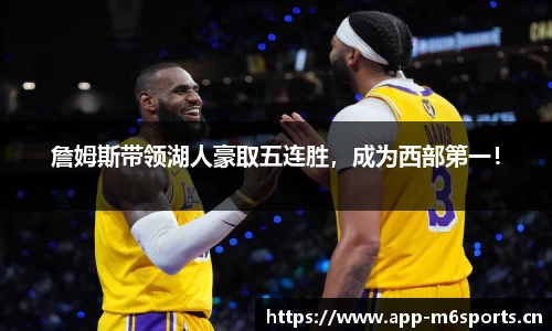 米乐m6体育官网