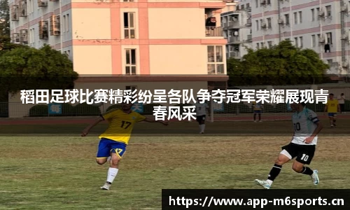米乐m6体育官方网站