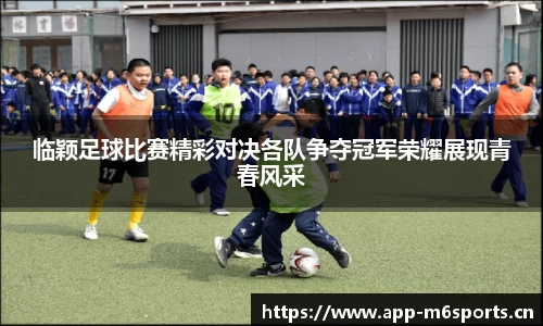 米乐m6体育平台
