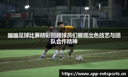 米乐m6体育