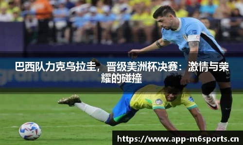 米乐m6体育官方网站