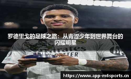 米乐m6体育官方网站