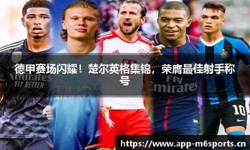 米乐m6体育官网