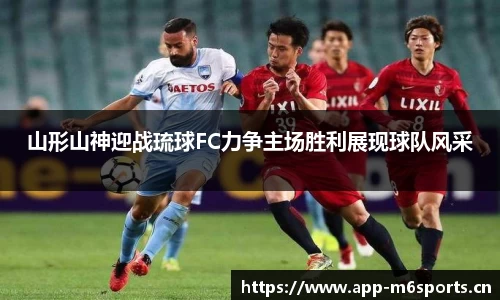 米乐m6体育官网
